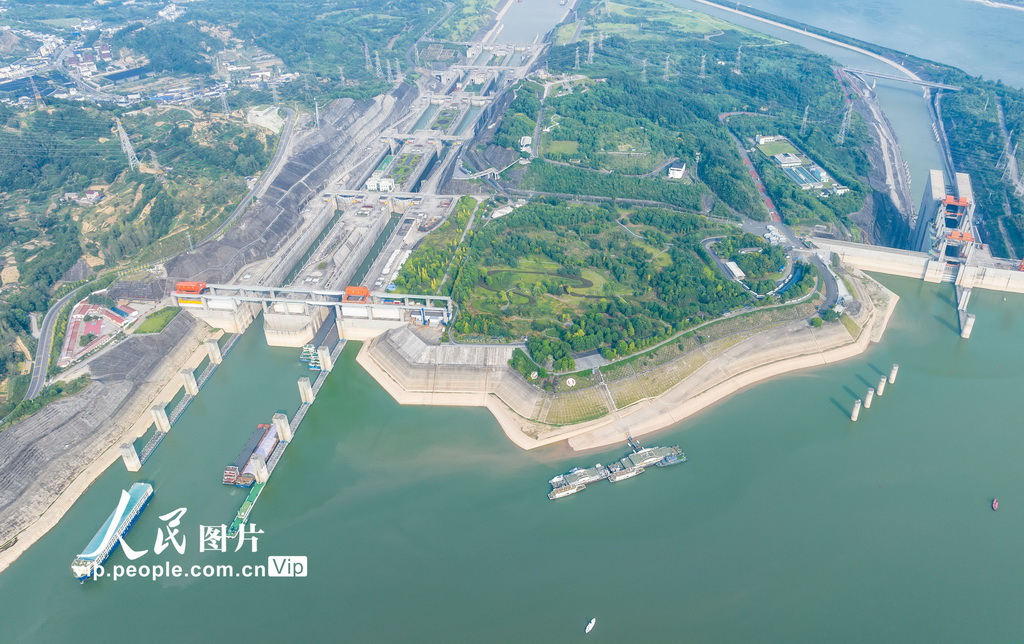 2024年8月25日，船舶有序通過三峽五級船閘。三峽升船機檢修期間，船舶全部通過三峽五級船閘通行。