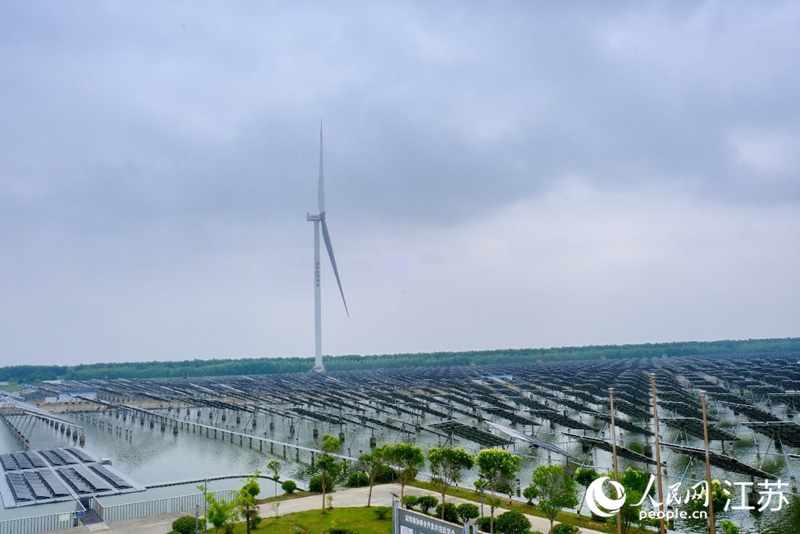 鹽城東臺市“風光漁”互補產(chǎn)業(yè)基地。 人民網(wǎng) 常雨薇攝