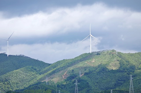 110千伏淳霞赤線為南寧橫縣那莫風電場綠電輸送搭建“高速路”。羅文旗 攝