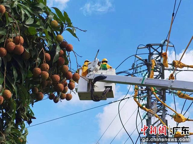 南方電網(wǎng)廣東茂名供電局加快電網(wǎng)提檔升級(jí)(黃琦之 攝) 南方電網(wǎng)廣東茂名供電局加快電網(wǎng)提檔升級(jí)(黃琦之 攝)