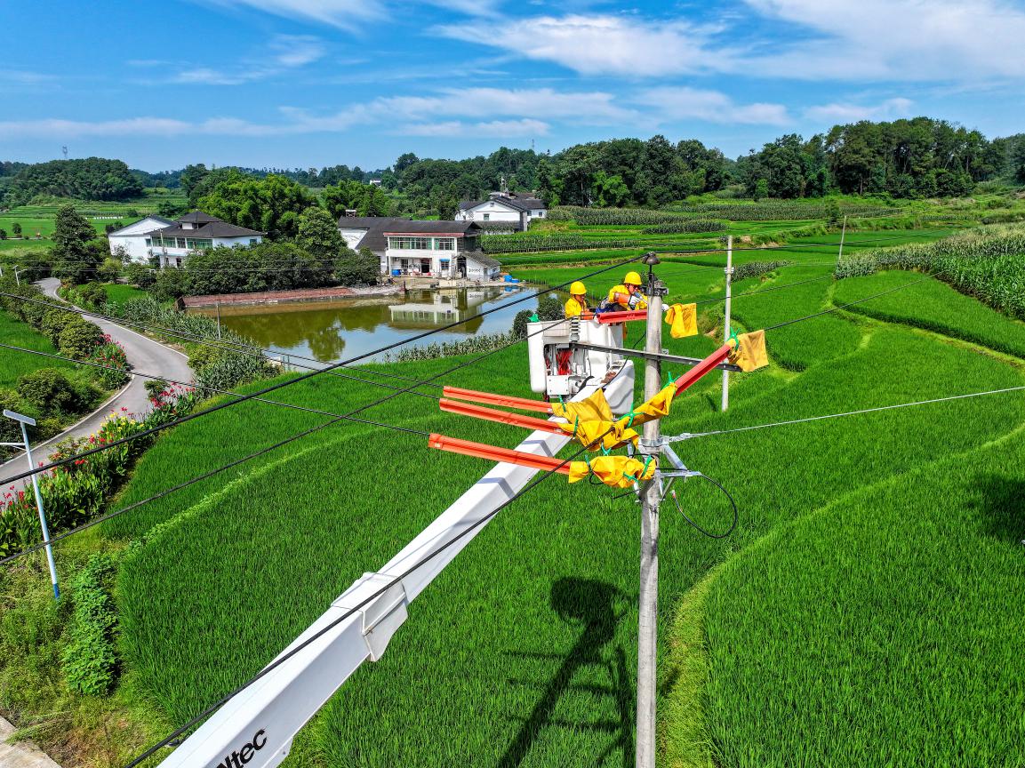 重慶川東電力公司員工在10千伏藺堡線25號桿開展帶電搭接引流線作業(yè)。游波攝