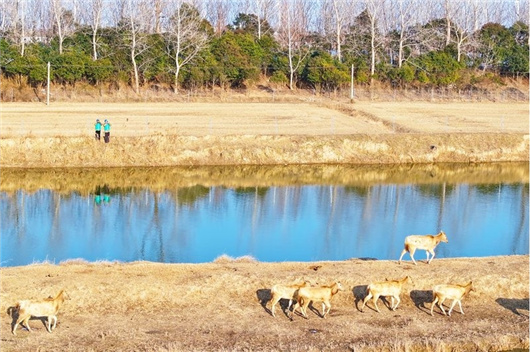綠色發(fā)展促進(jìn)生物多樣性保護(hù)