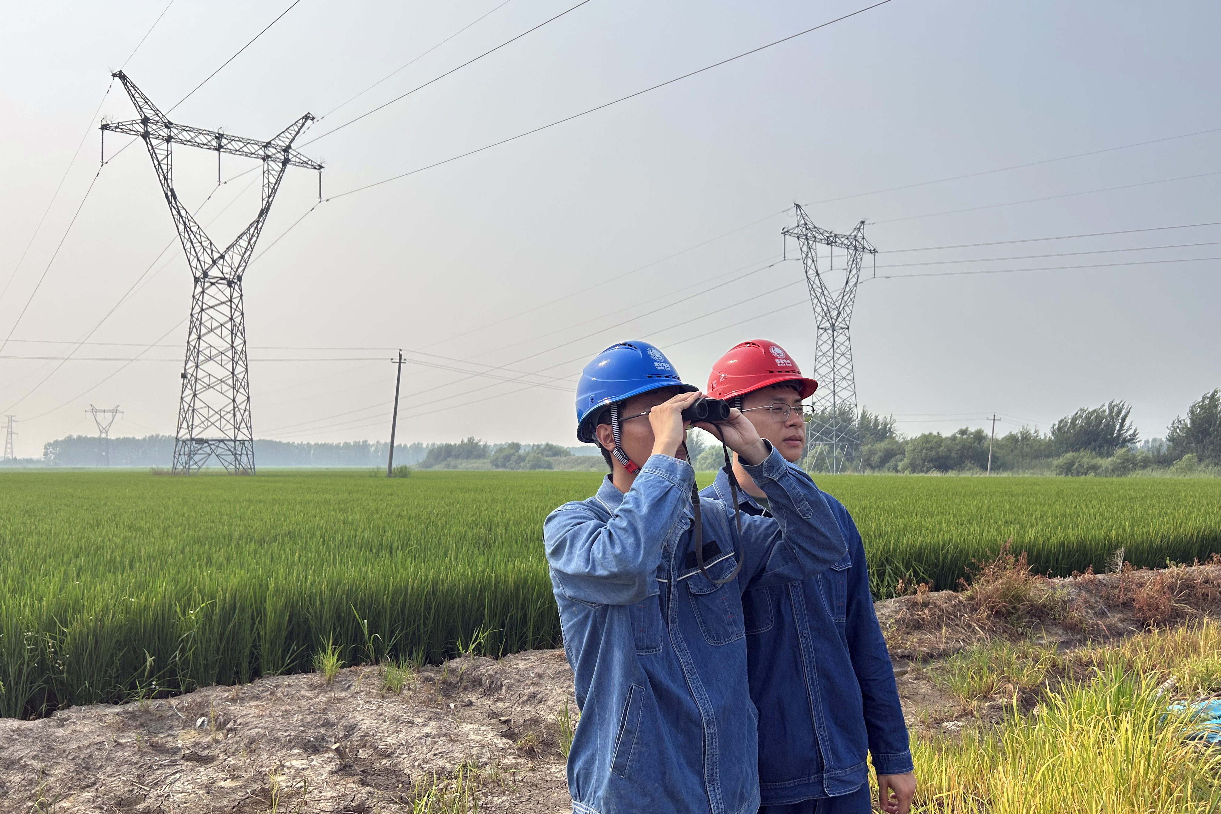 7月26日，黑龍江佳木斯供電公司工作人員正在開展220千伏前鋒甲乙線等七條重點線路防鳥特巡工作.jpg