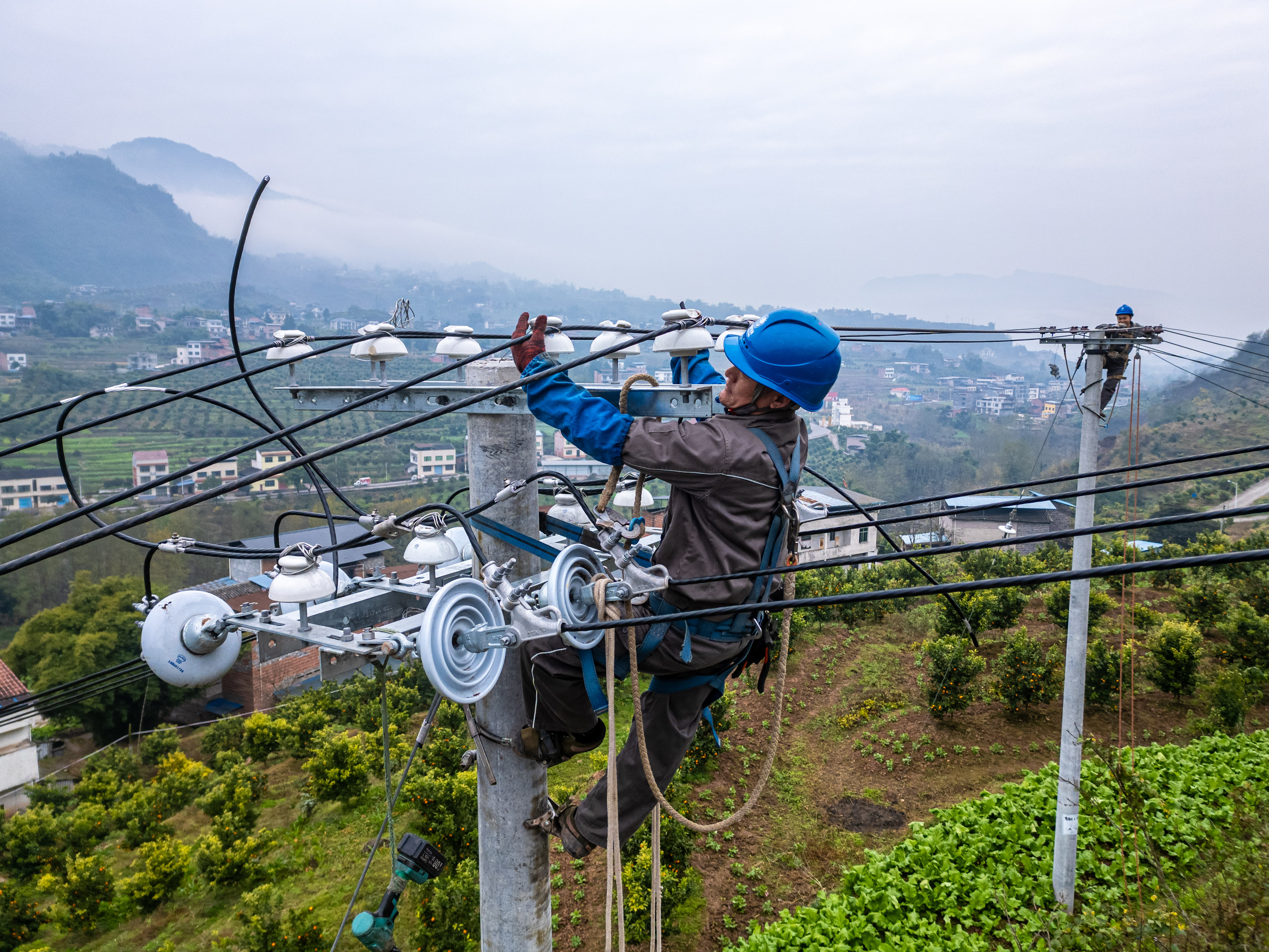 1月10日，重慶開州供電公司員工向祖春等在臨江鎮(zhèn)永東村，對(duì)10千伏明洪線開展低電壓治理。（李添鑫）   (5).jpg