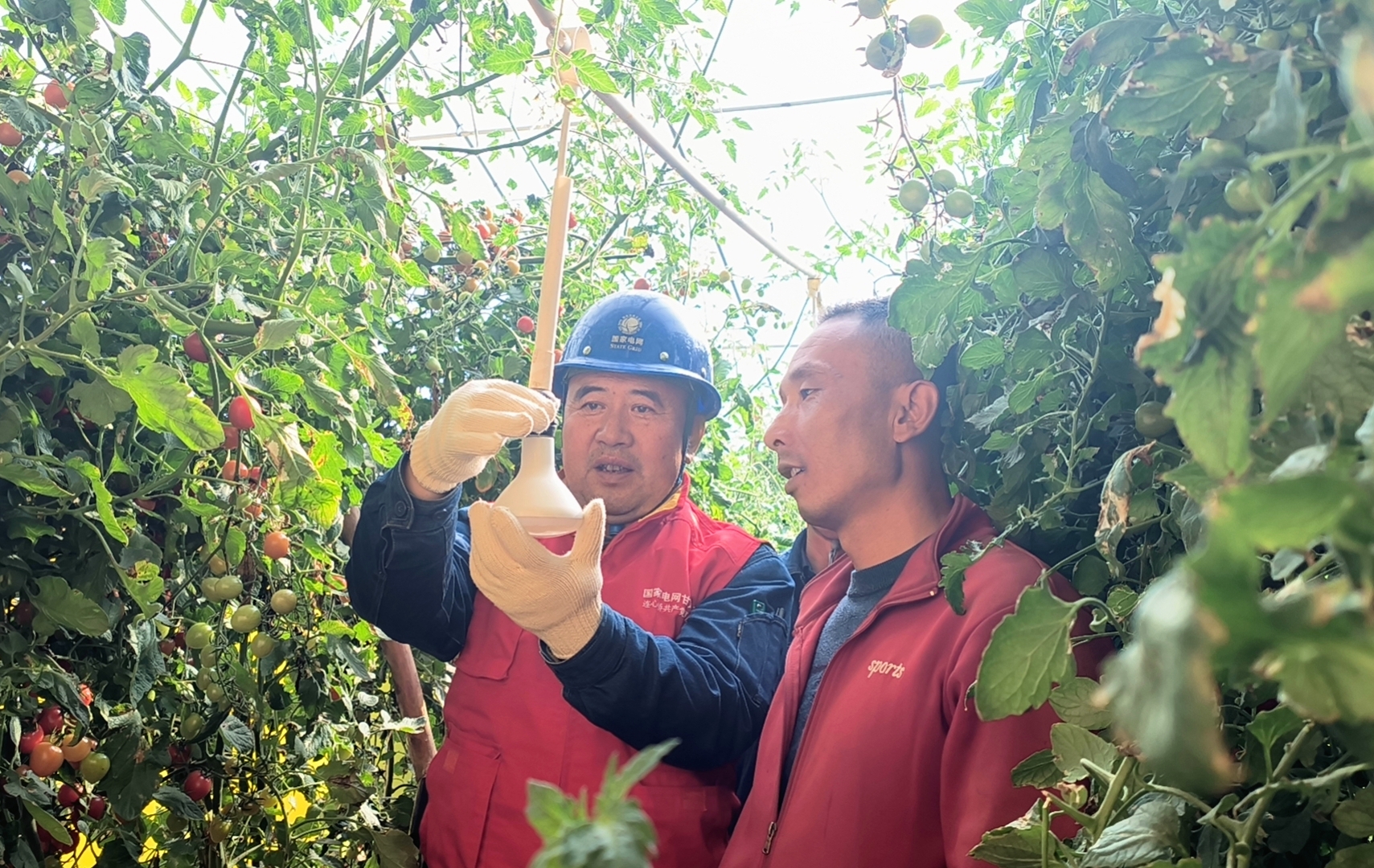 春節(jié)前夕，國網(wǎng)蘭州供電公司<span id=