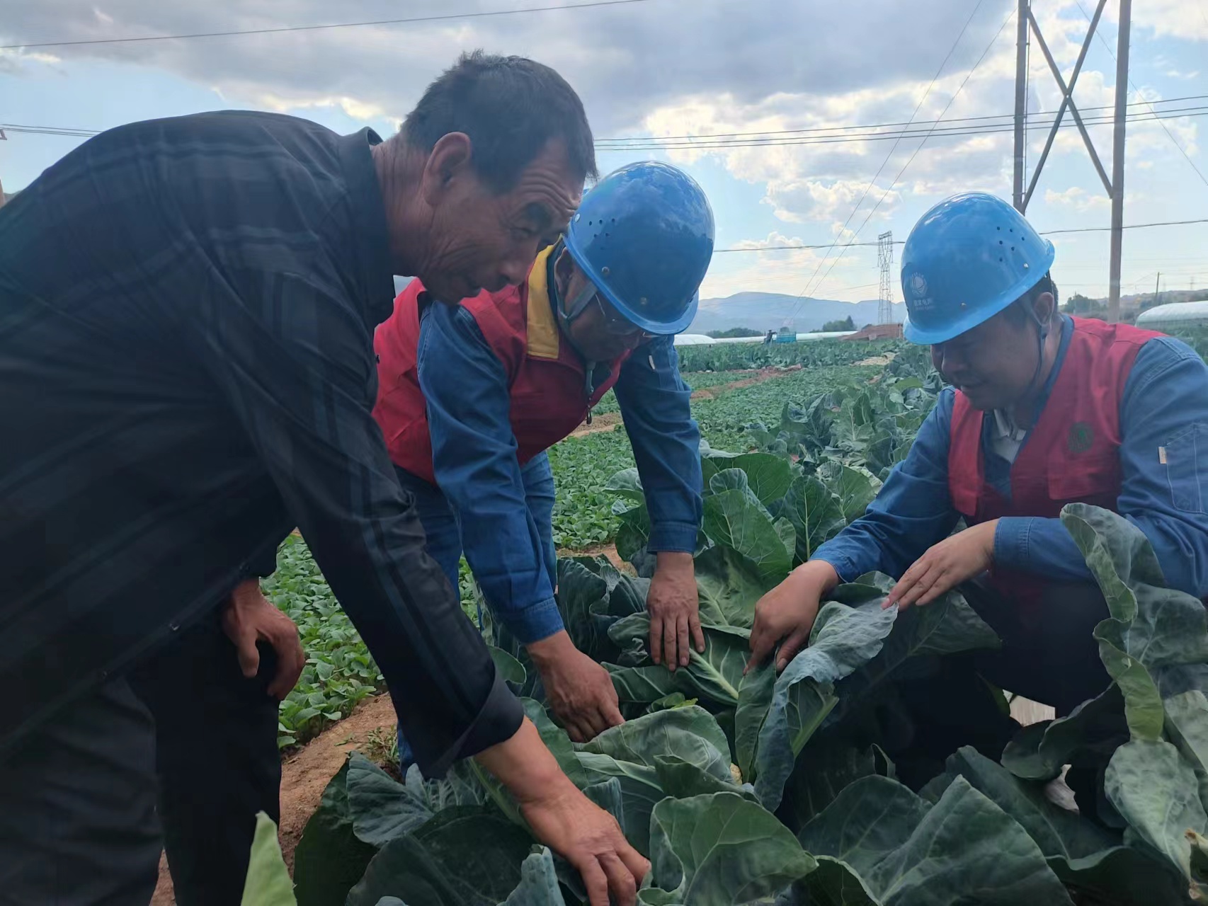 國網蘭州供電公司花莊供電所員工向種植戶了解蔬菜長勢及灌溉用電情況。陳正祥攝.jpg