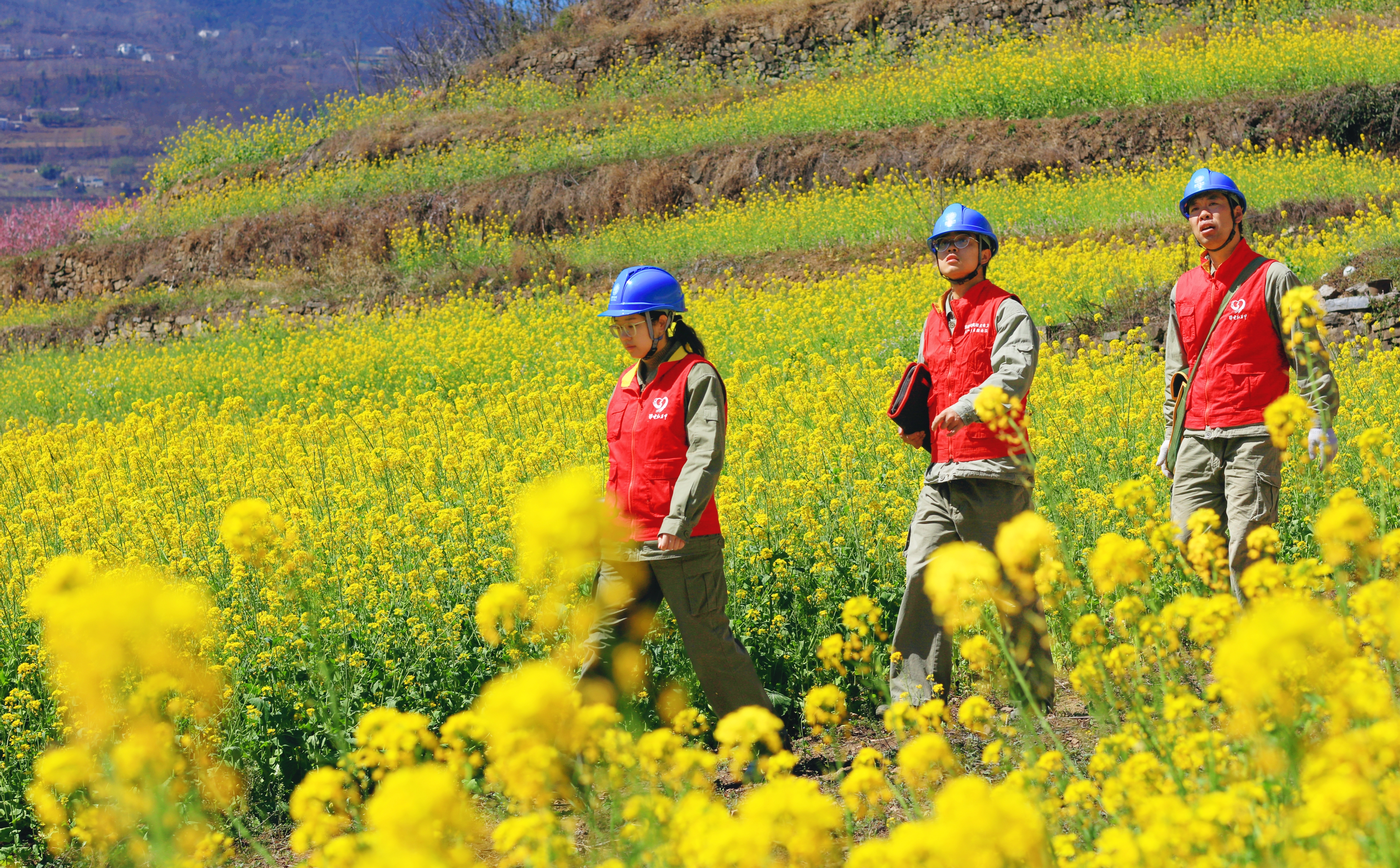 3月25日，國(guó)網(wǎng)神農(nóng)架供電公司宋洛供電所員工鄧貝貝、吳順堯、劉志坤前往10kV臨朝蓮線竹園坪二臺(tái)區(qū)開展用電安全檢查。（朱玉潔）.jpg
