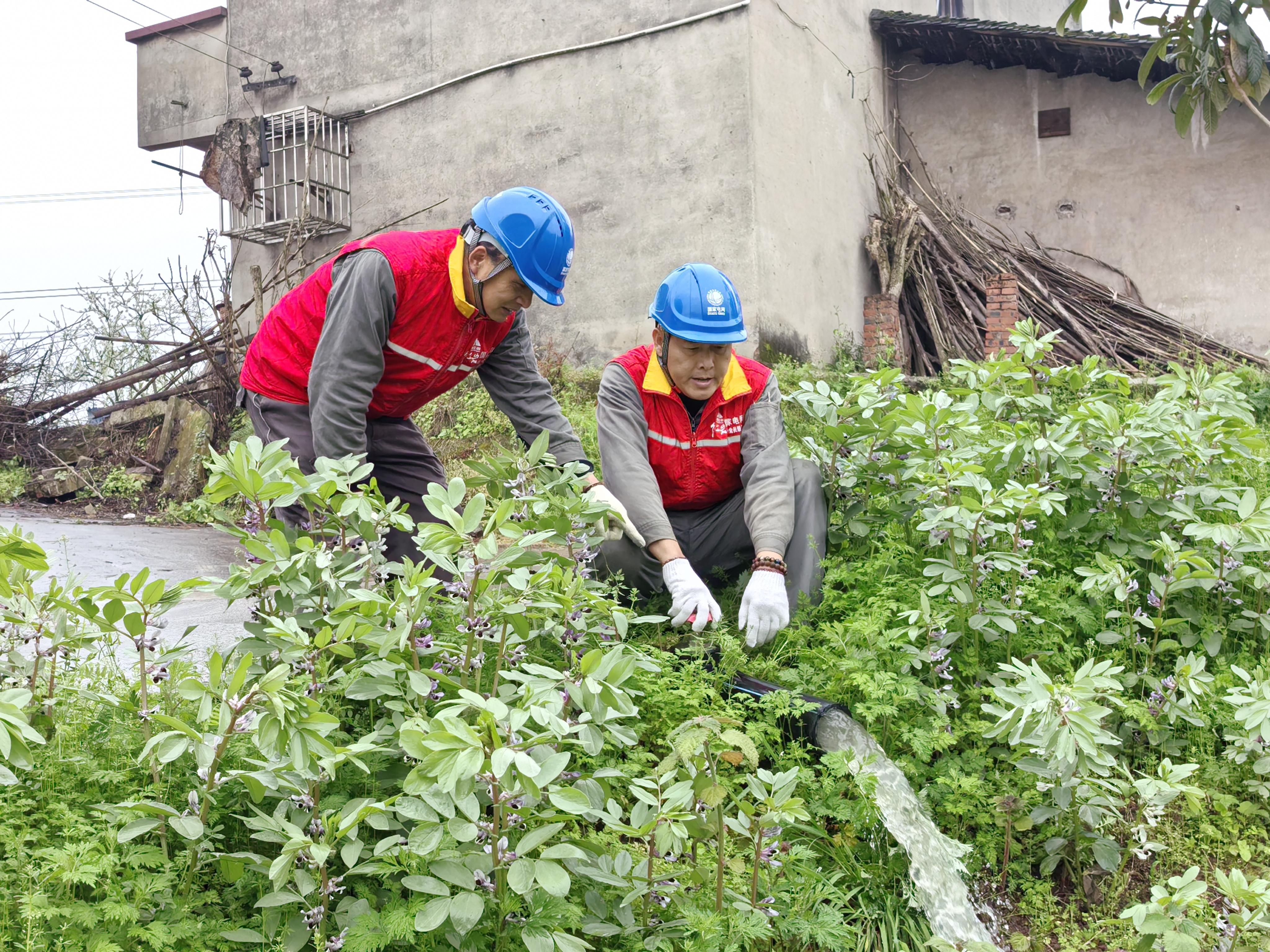 歇馬供電所張子琪，工作人員萬成福、成肇華在東風(fēng)村白土壩組檢查抽水灌溉設(shè)備2.jpg
